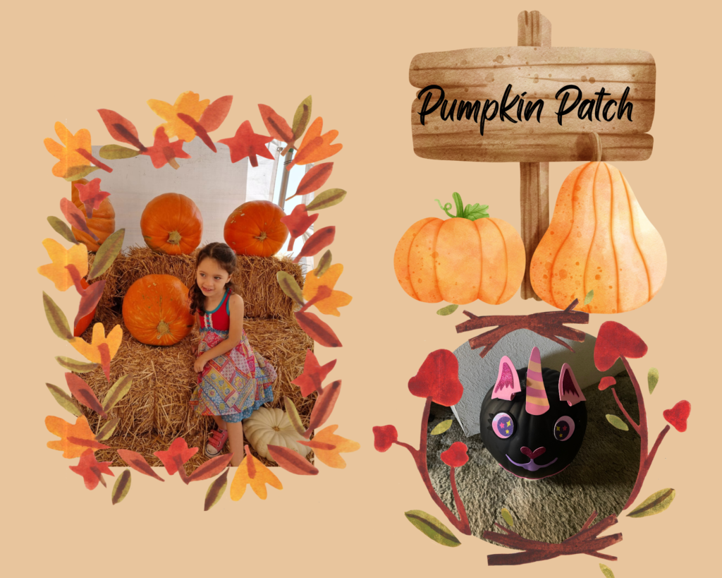 Pumpkin Patch image with a decorated pumpkin